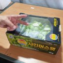 홍이농장 | [공지] ※ 이벤트※ 홍이 농장 샤인머스켓 정기 이벤트