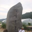 성치 12폭 이미지