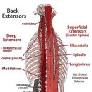 세움메디칼 이미지