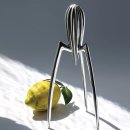 시트러스디자인 이미지