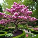 수지상사 이미지