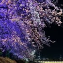 동천소주방