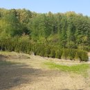 명당터부동산공인중개사사무소 이미지