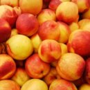 내고향젓갈상회 이미지