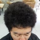 곱슬머리 이미지