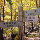 춘식이네