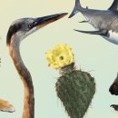 AW spine sciencenews