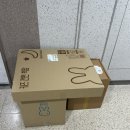 토이 play | 블루래빗 첫 토이북 풀세트 언박싱 : 2025 리뉴얼 돌 아기 책 전집 추천 구성 및 사은품