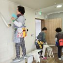 도배전문센타 이미지