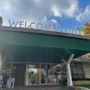 소노펠리체 빌리지 A~D 비발디파크 이미지