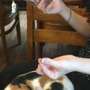 돈워리비해피 이미지