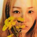 쿠잉(cooing) 이미지