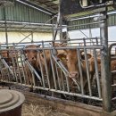 가장축산 이미지