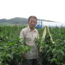 오정농장 이미지