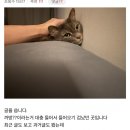 송재림이 디시인사이드 송재림 갤러리에 남긴 글 이미지