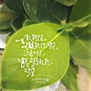 고혜진 카카오 검색결과