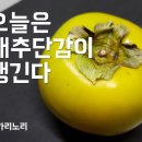 배감 이미지