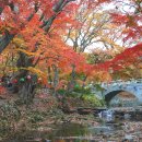 도솔천 | [2부]고창 선운산 단풍_절정의 선운산 단풍 &#39;24.11.17(일)