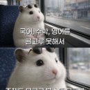 수학 - 파주시 와석순환로192번길 14-46 | 수학