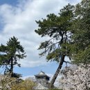한국(아)뒤 도로 - 회타운앞 - 부영(아)뒤도로 | 02 기타큐슈, 한 건 없는데 끼니는 잘 챙겨먹음