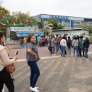 함평국화축제 이미지