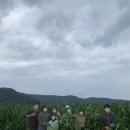 치유농업공동체토담토담