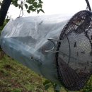 유가농장 이미지