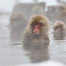 스테이인터뷰장태산 이미지