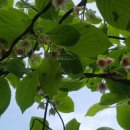 가락골농장 이미지