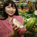 모텔파파야 이미지