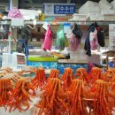 강수수산
