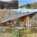 별빛농원 이미지