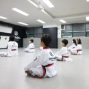 상록태권도장 이미지