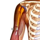 PT특별관 이미지