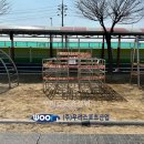 가납초등학교 이미지