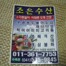 충남 천안] 조은수산 전어회 이미지