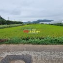 원선농장 이미지