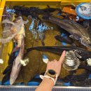 119호공원 이미지