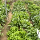 문숙농장 이미지