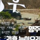 아향옹기해물수제비