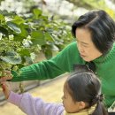 해담농장 이미지