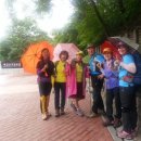 김세환 농장 이미지