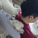 백일약국 | 저녁통잠아기, 눈맞춤증가 타이니모빌컬러교체, 소프트의자앉기, 옹알이, 백일상 백일떡 주문