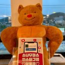 소나무헬스 | [다이어트] 헬스로 하는 다이어트(1) _ 소나무헬스