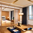 소노캄 고양 이미지