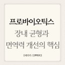 초이시스 (CHOISYS) 이미지