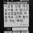 이런 애들 보고싶어 근데 이미 알고 있음 이미지