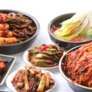 김치의 역사 – 한국을 대표하는 발효 음식, 김치는 언제부터 먹었을까?