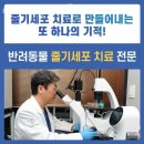 미래지동물의료센터 이미지