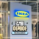 서울 첫 이케아 강동점 비스트로 후기와 주차 위치 꿀팁